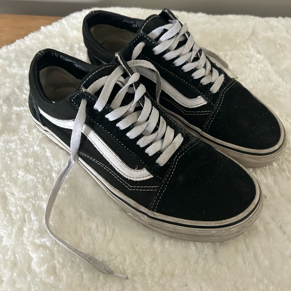 Vans Skater Shoes